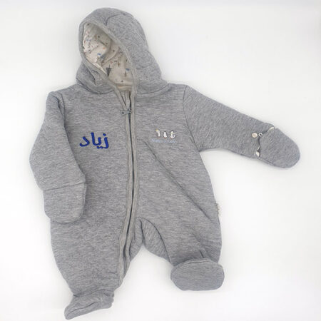 Winter Penguin Overall