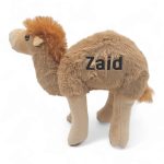 camel Image 2024-04-01 at 15.21.10_ee2dd33c