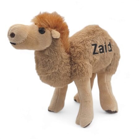 Personalized Camel