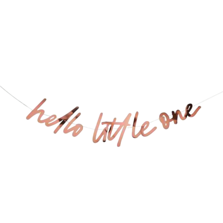 Hello Little One Banner